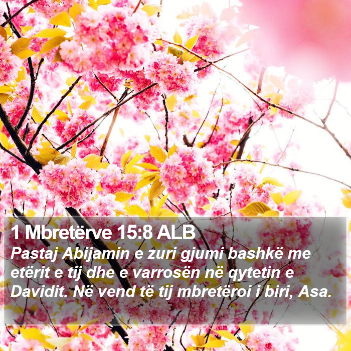 1 Mbretërve 15:8 ALB Bible Study