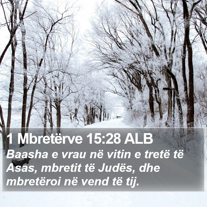 1 Mbretërve 15:28 ALB Bible Study