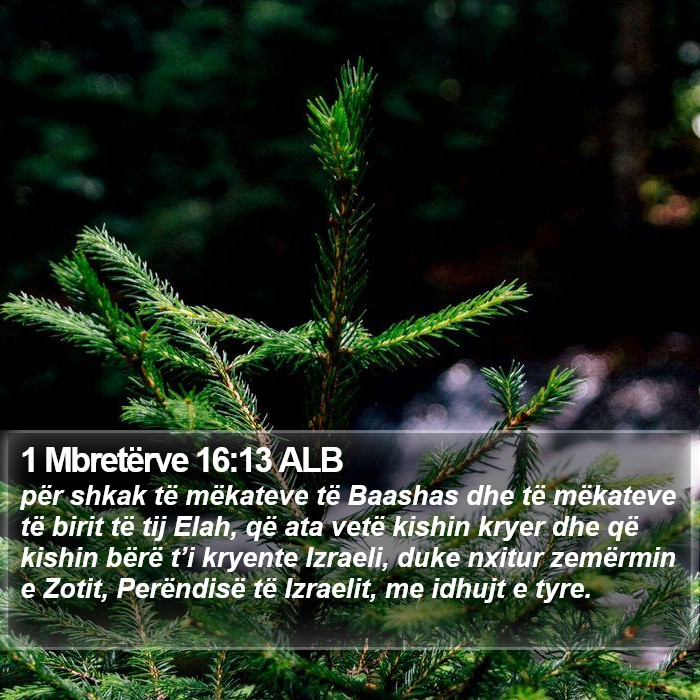 1 Mbretërve 16:13 ALB Bible Study