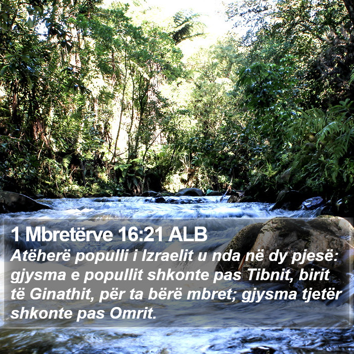 1 Mbretërve 16:21 ALB Bible Study