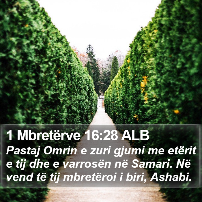 1 Mbretërve 16:28 ALB Bible Study