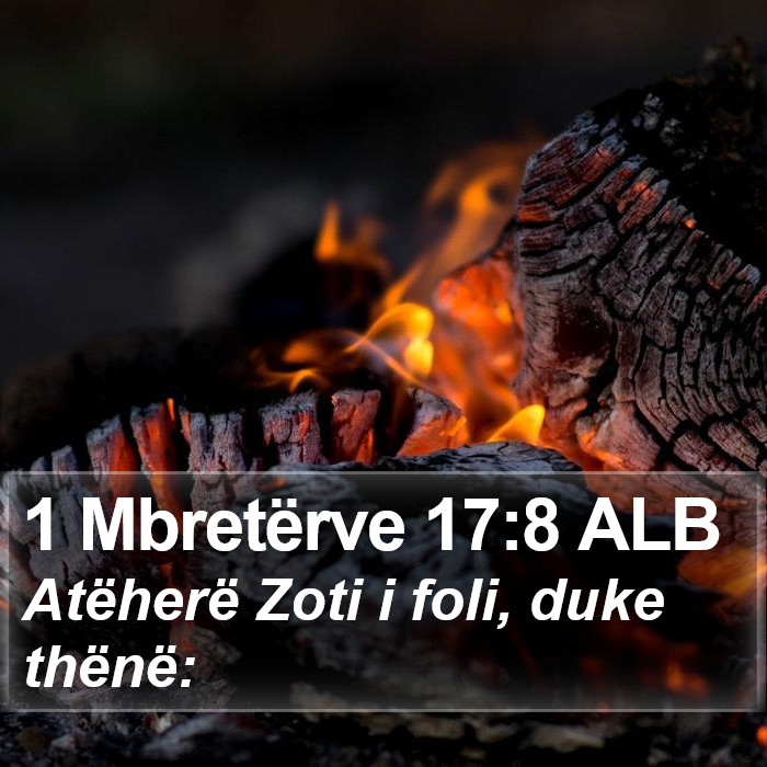 1 Mbretërve 17:8 ALB Bible Study