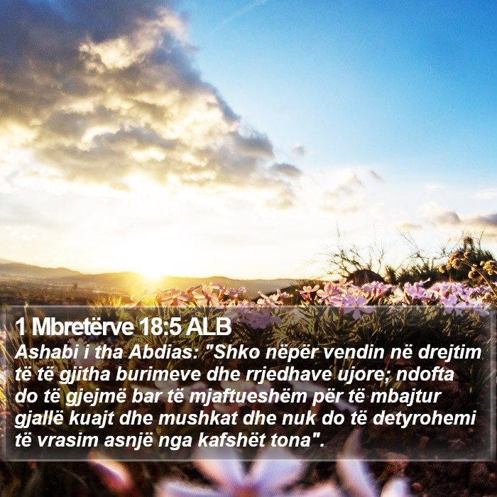 1 Mbretërve 18:5 ALB Bible Study