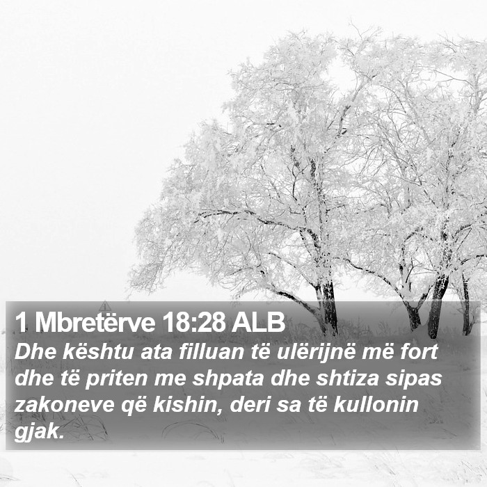 1 Mbretërve 18:28 ALB Bible Study