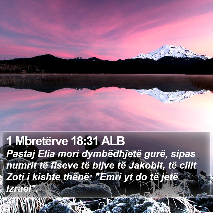 1 Mbretërve 18:31 ALB Bible Study