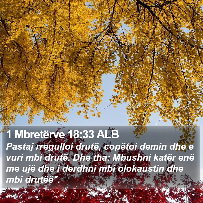 1 Mbretërve 18:33 ALB Bible Study