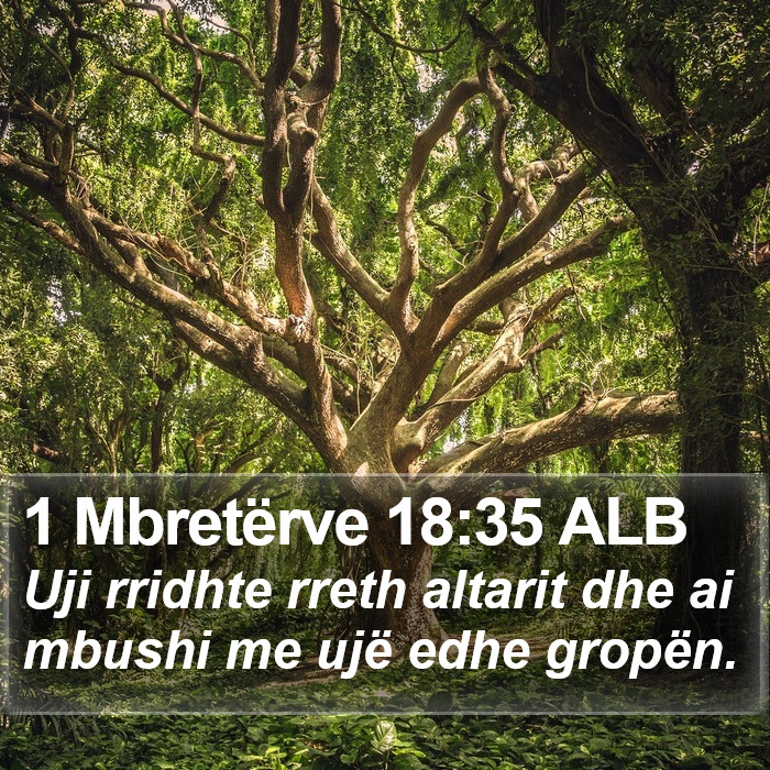 1 Mbretërve 18:35 ALB Bible Study