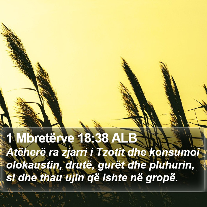 1 Mbretërve 18:38 ALB Bible Study