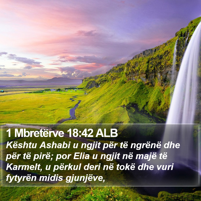 1 Mbretërve 18:42 ALB Bible Study