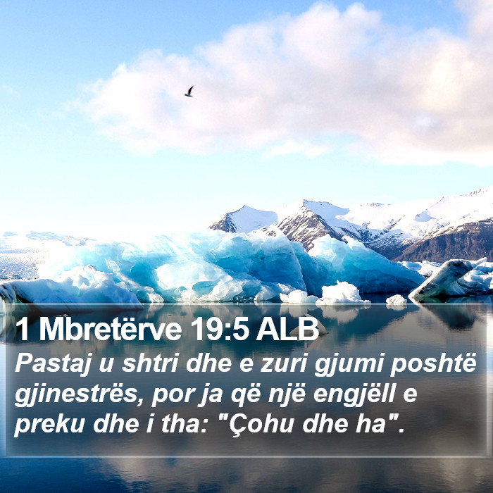 1 Mbretërve 19:5 ALB Bible Study