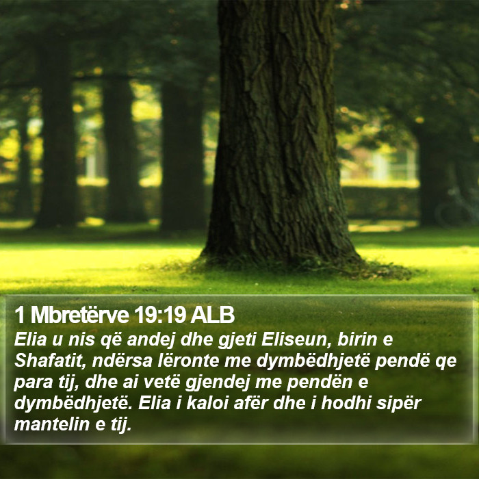 1 Mbretërve 19:19 ALB Bible Study