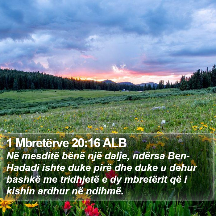 1 Mbretërve 20:16 ALB Bible Study