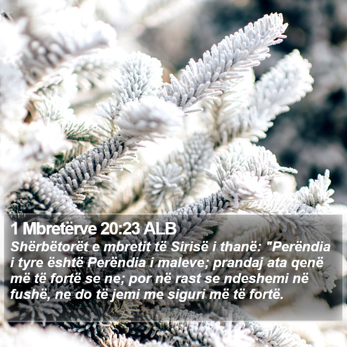 1 Mbretërve 20:23 ALB Bible Study