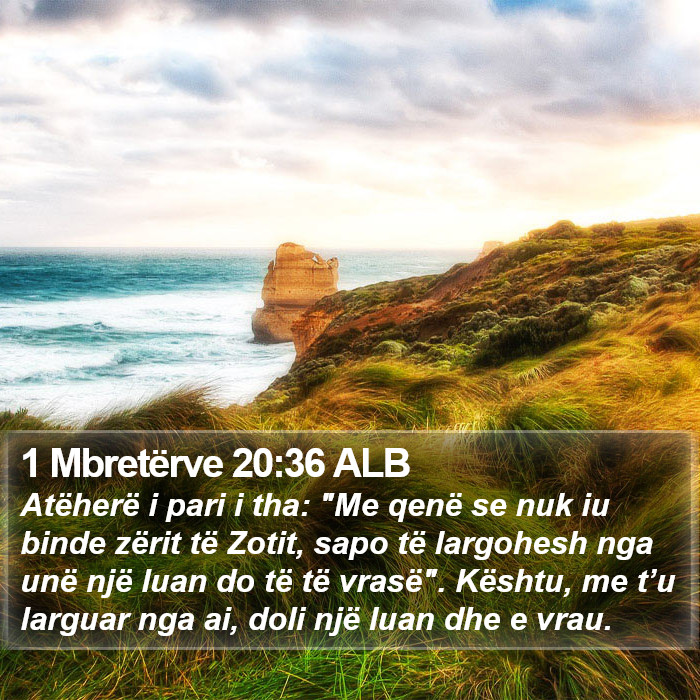 1 Mbretërve 20:36 ALB Bible Study