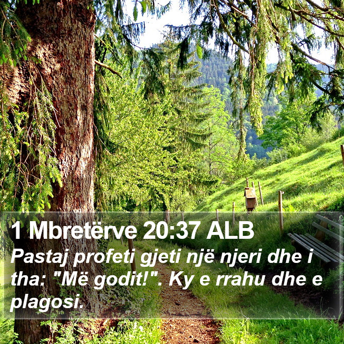 1 Mbretërve 20:37 ALB Bible Study