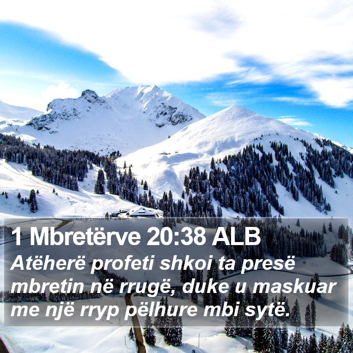 1 Mbretërve 20:38 ALB Bible Study