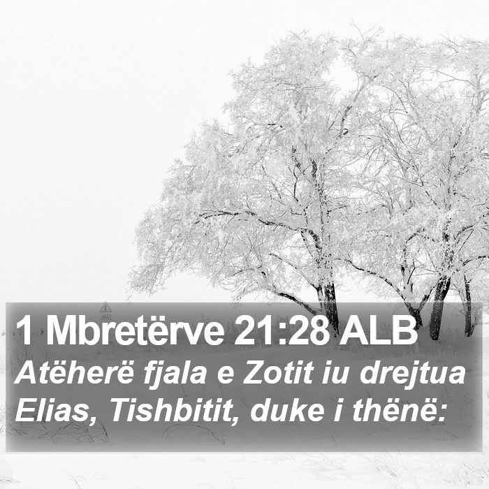 1 Mbretërve 21:28 ALB Bible Study