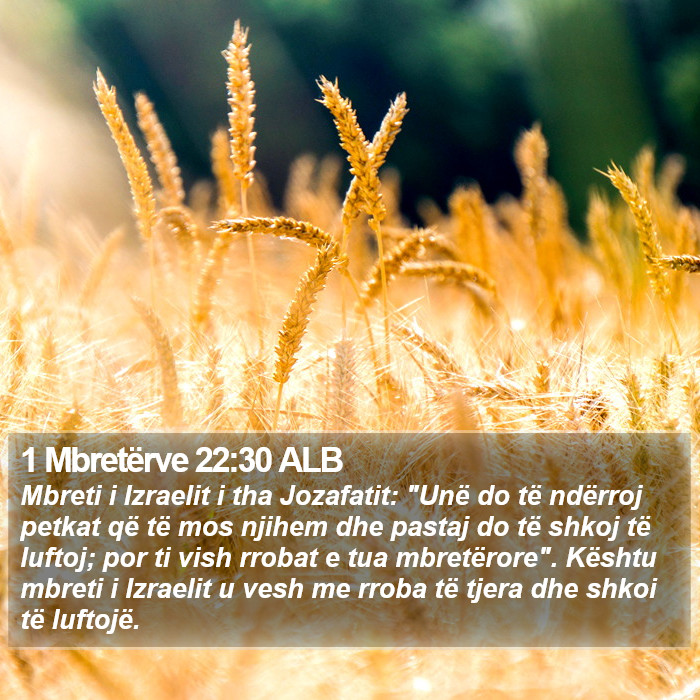 1 Mbretërve 22:30 ALB Bible Study