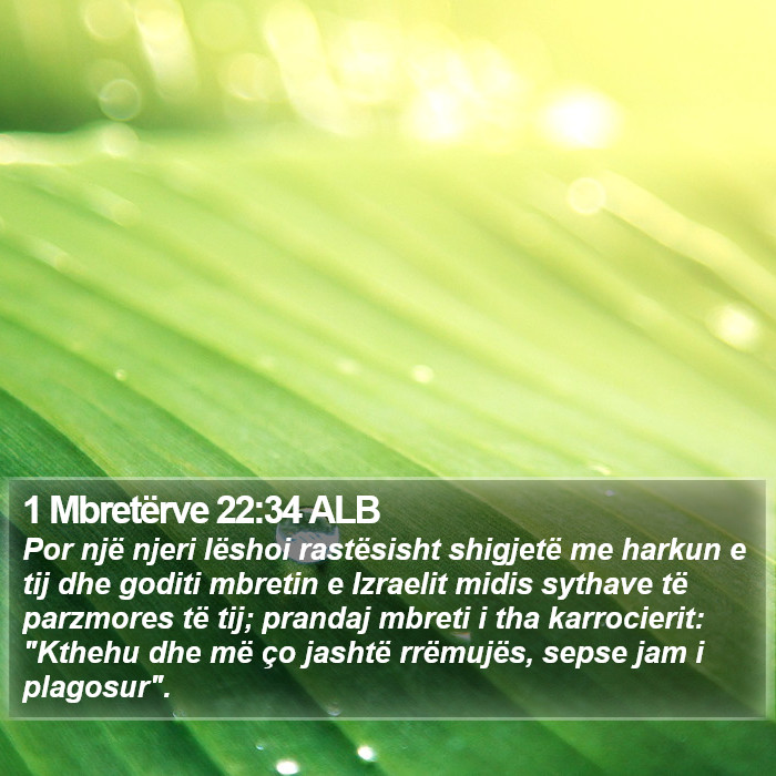 1 Mbretërve 22:34 ALB Bible Study