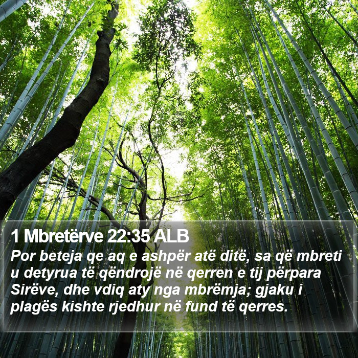 1 Mbretërve 22:35 ALB Bible Study