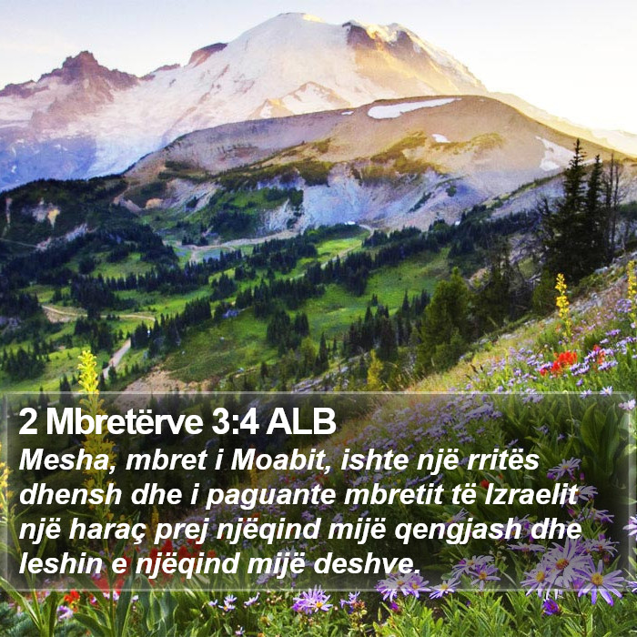 2 Mbretërve 3:4 ALB Bible Study