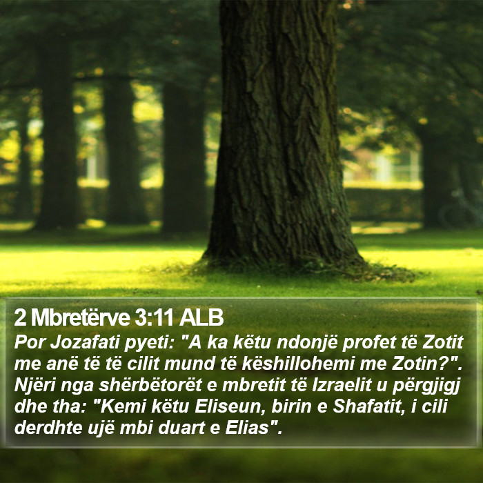 2 Mbretërve 3:11 ALB Bible Study