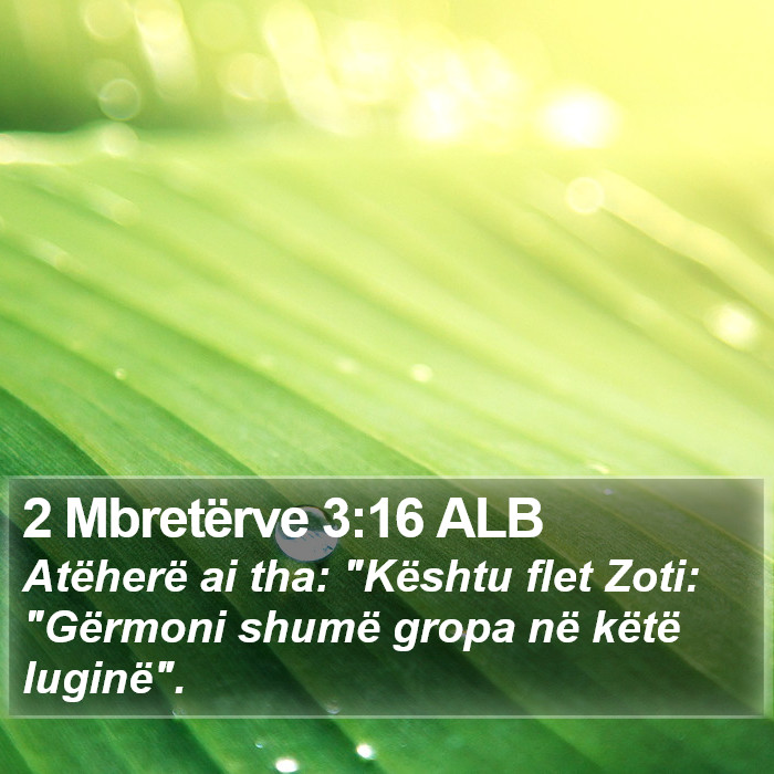 2 Mbretërve 3:16 ALB Bible Study