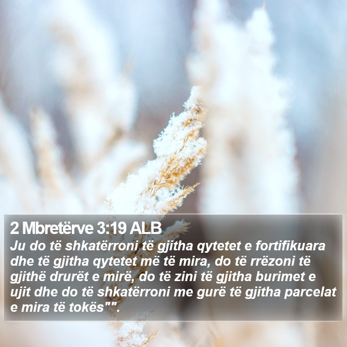 2 Mbretërve 3:19 ALB Bible Study