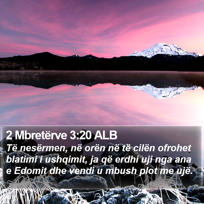 2 Mbretërve 3:20 ALB Bible Study