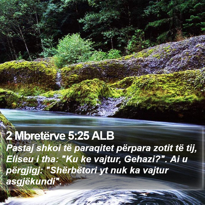 2 Mbretërve 5:25 ALB Bible Study