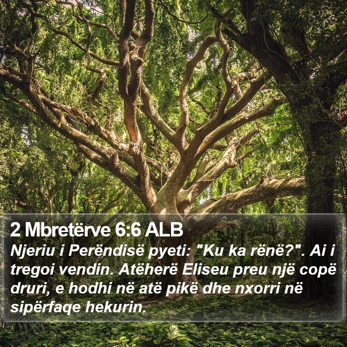 2 Mbretërve 6:6 ALB Bible Study