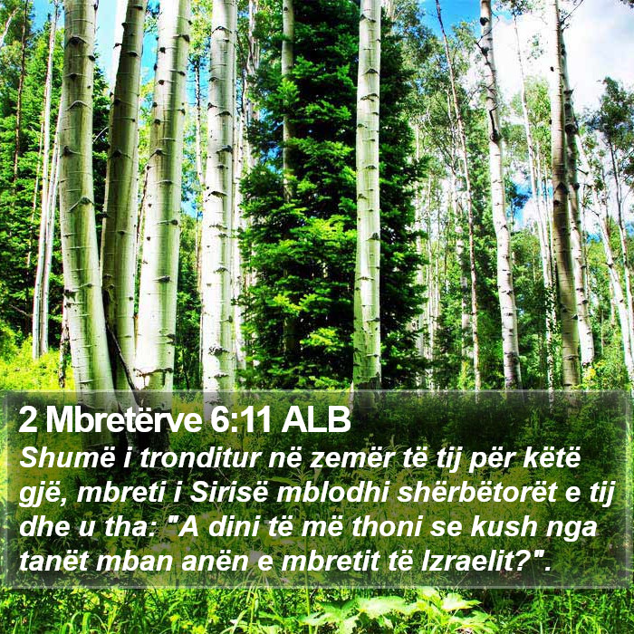 2 Mbretërve 6:11 ALB Bible Study