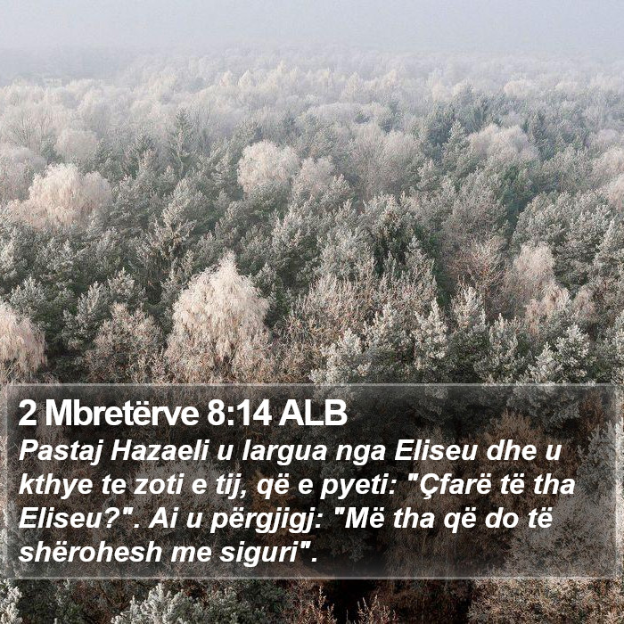 2 Mbretërve 8:14 ALB Bible Study