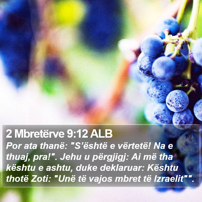 2 Mbretërve 9:12 ALB Bible Study