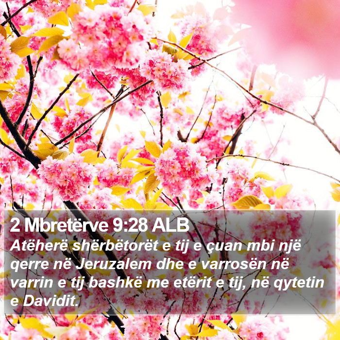 2 Mbretërve 9:28 ALB Bible Study