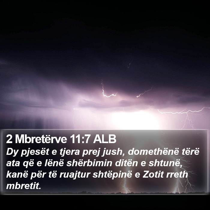 2 Mbretërve 11:7 ALB Bible Study