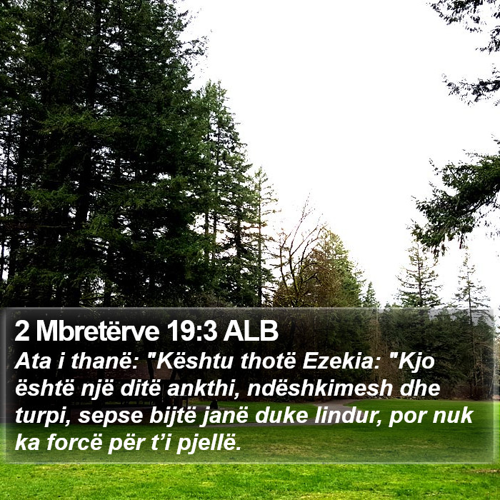 2 Mbretërve 19:3 ALB Bible Study