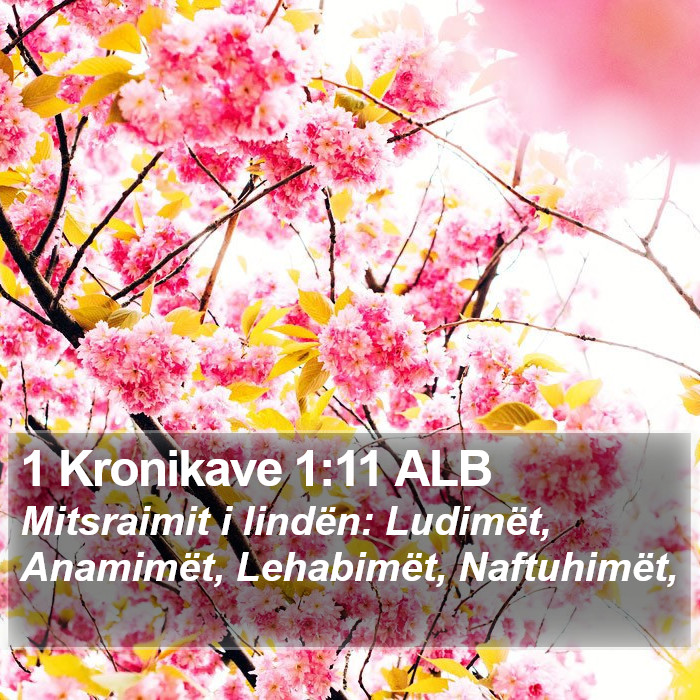 1 Kronikave 1:11 ALB Bible Study