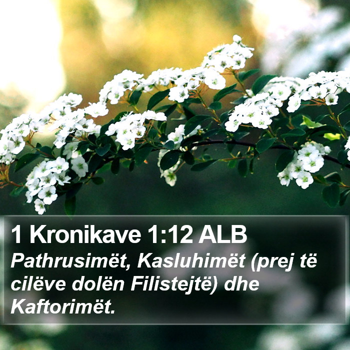 1 Kronikave 1:12 ALB Bible Study