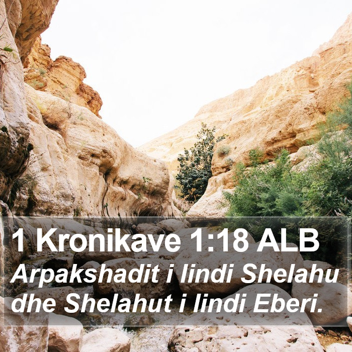 1 Kronikave 1:18 ALB Bible Study