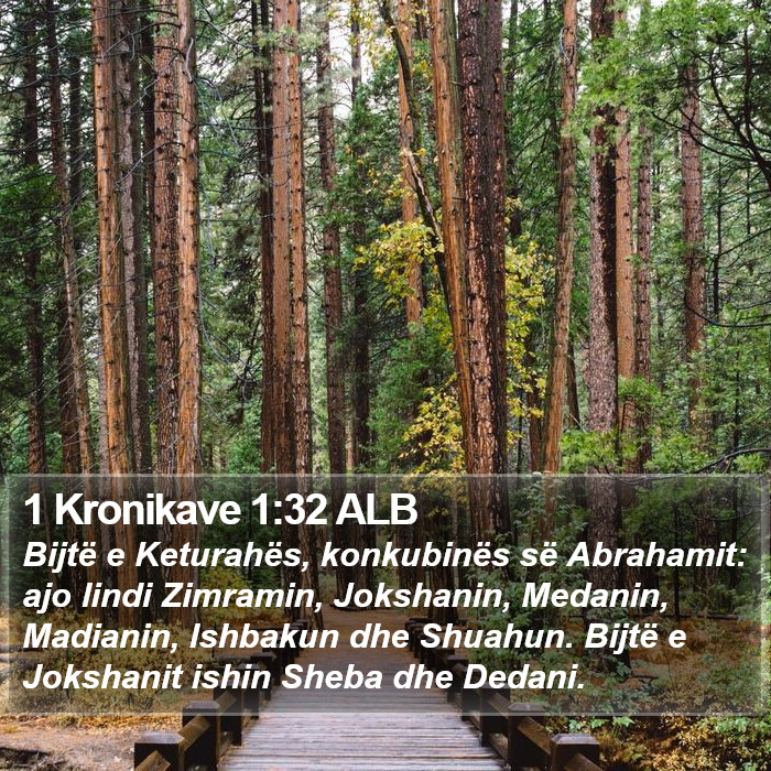 1 Kronikave 1:32 ALB Bible Study