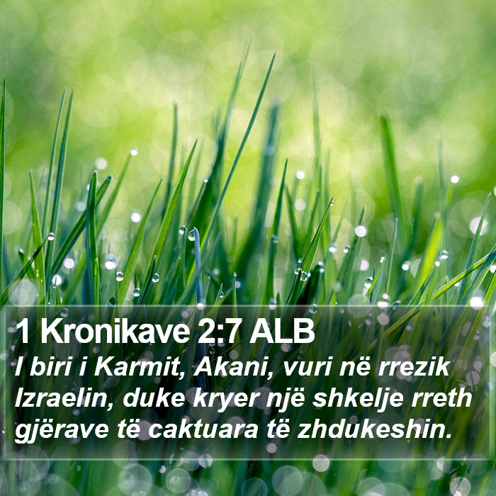 1 Kronikave 2:7 ALB Bible Study