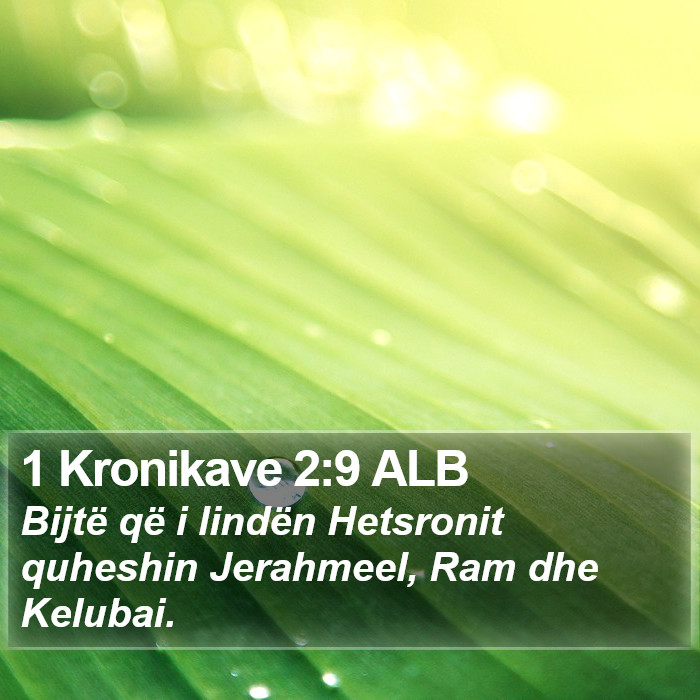 1 Kronikave 2:9 ALB Bible Study