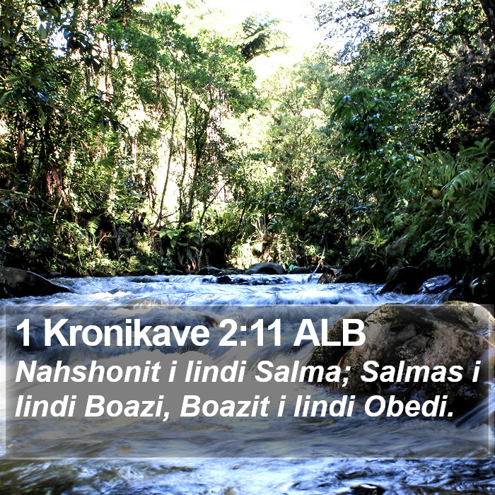 1 Kronikave 2:11 ALB Bible Study