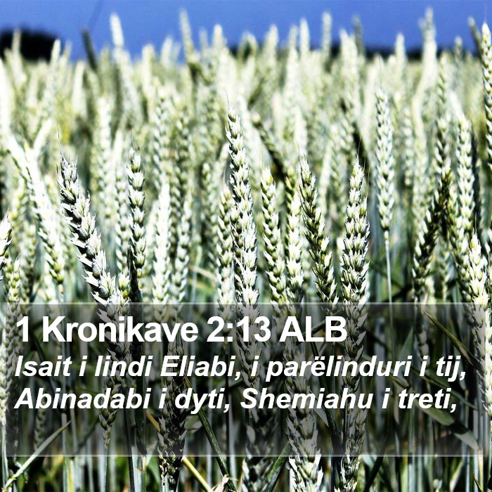 1 Kronikave 2:13 ALB Bible Study