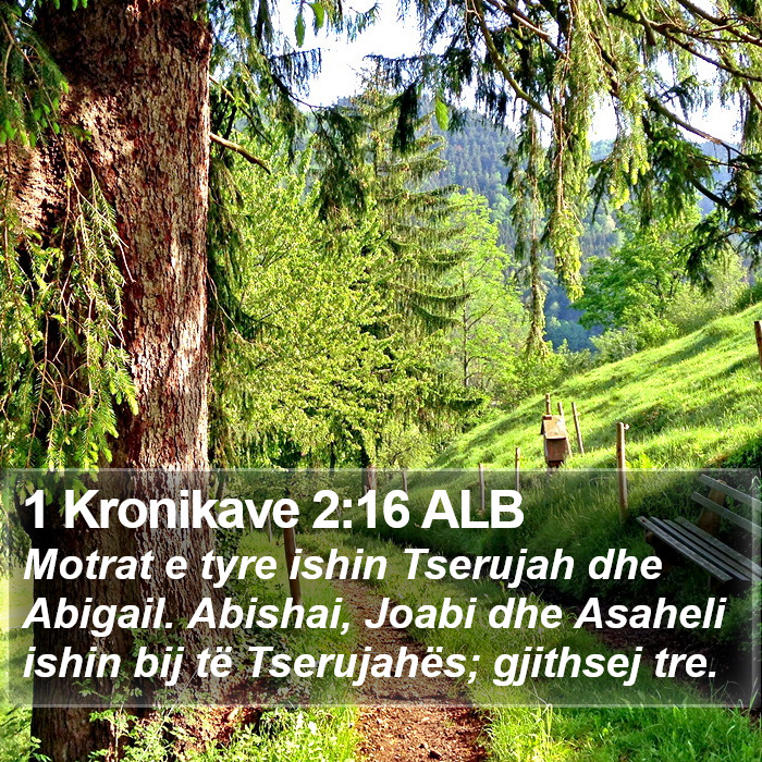 1 Kronikave 2:16 ALB Bible Study