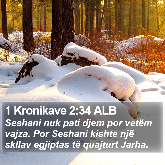 1 Kronikave 2:34 ALB Bible Study