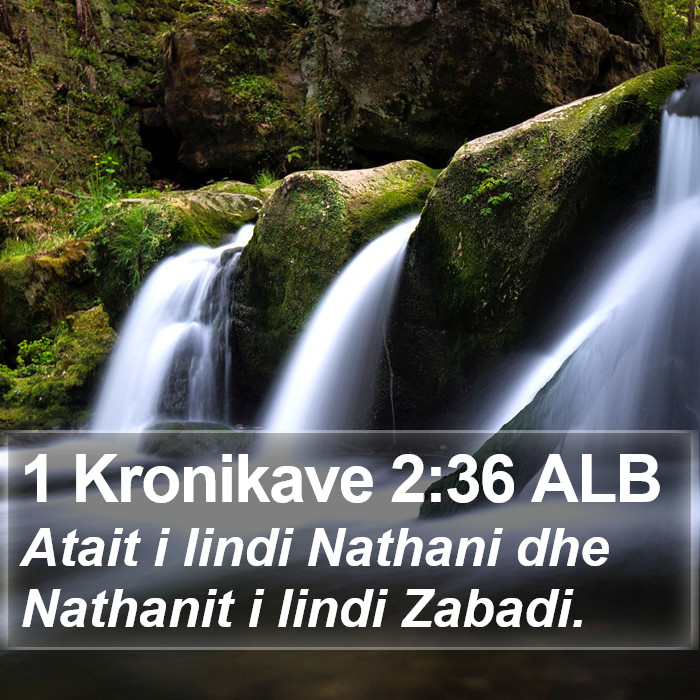 1 Kronikave 2:36 ALB Bible Study