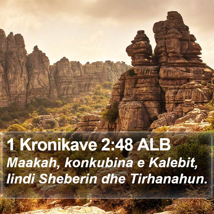 1 Kronikave 2:48 ALB Bible Study