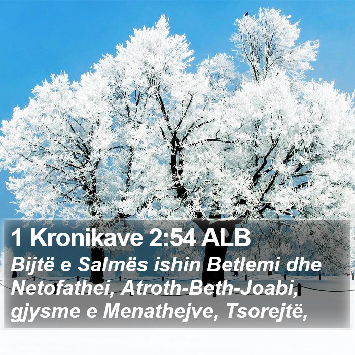 1 Kronikave 2:54 ALB Bible Study